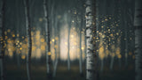 A Magic Night Poster och Canvastavla