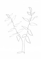 Standing Twigs Poster och Canvastavla