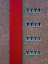 Red line Poster och Canvastavla