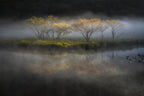 At the lakeside deepening in autumn Poster och Canvastavla