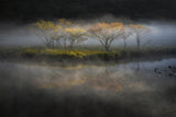 At the lakeside deepening in autumn Poster och Canvastavla