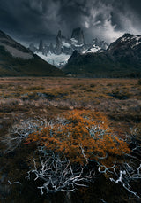 Before the Storm Poster och Canvastavla