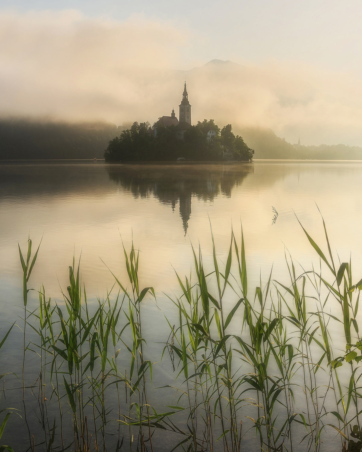 Summer morning at Lake Bled Poster och Canvastavla