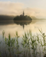 Summer morning at Lake Bled Poster och Canvastavla