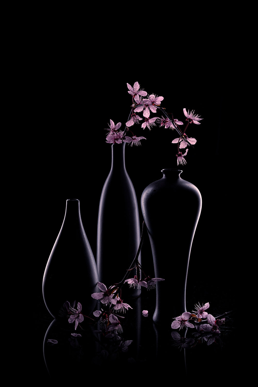 Graceful  Prunus Cerasifera Poster och Canvastavla
