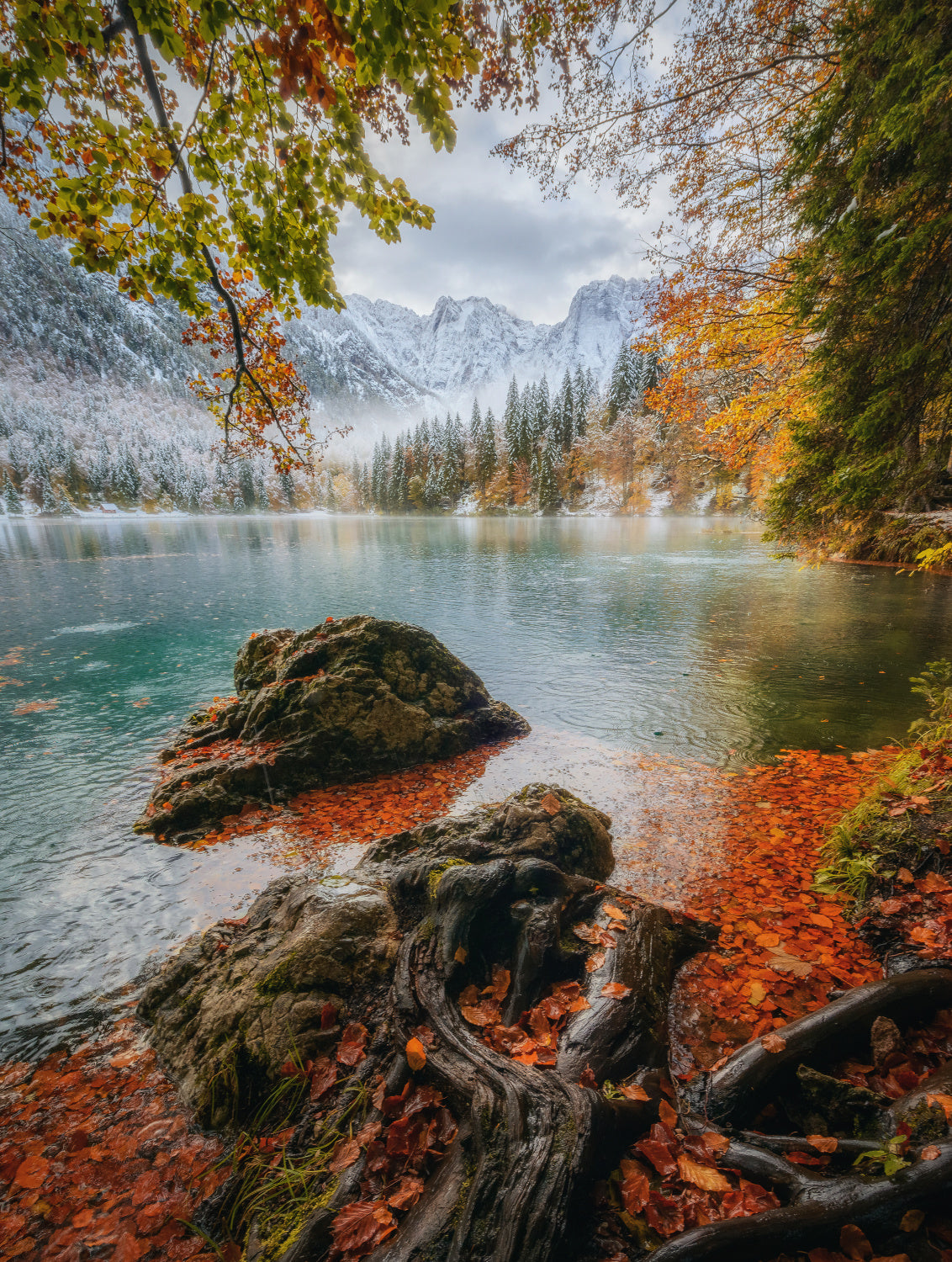 Autumn layers Poster och Canvastavla