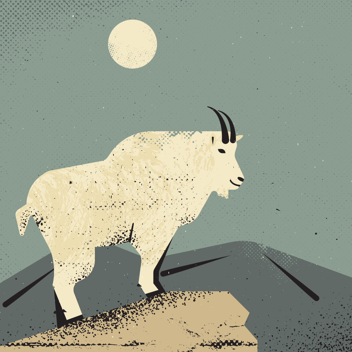 Mountain Goat Poster och Canvastavla