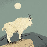 Mountain Goat Poster och Canvastavla