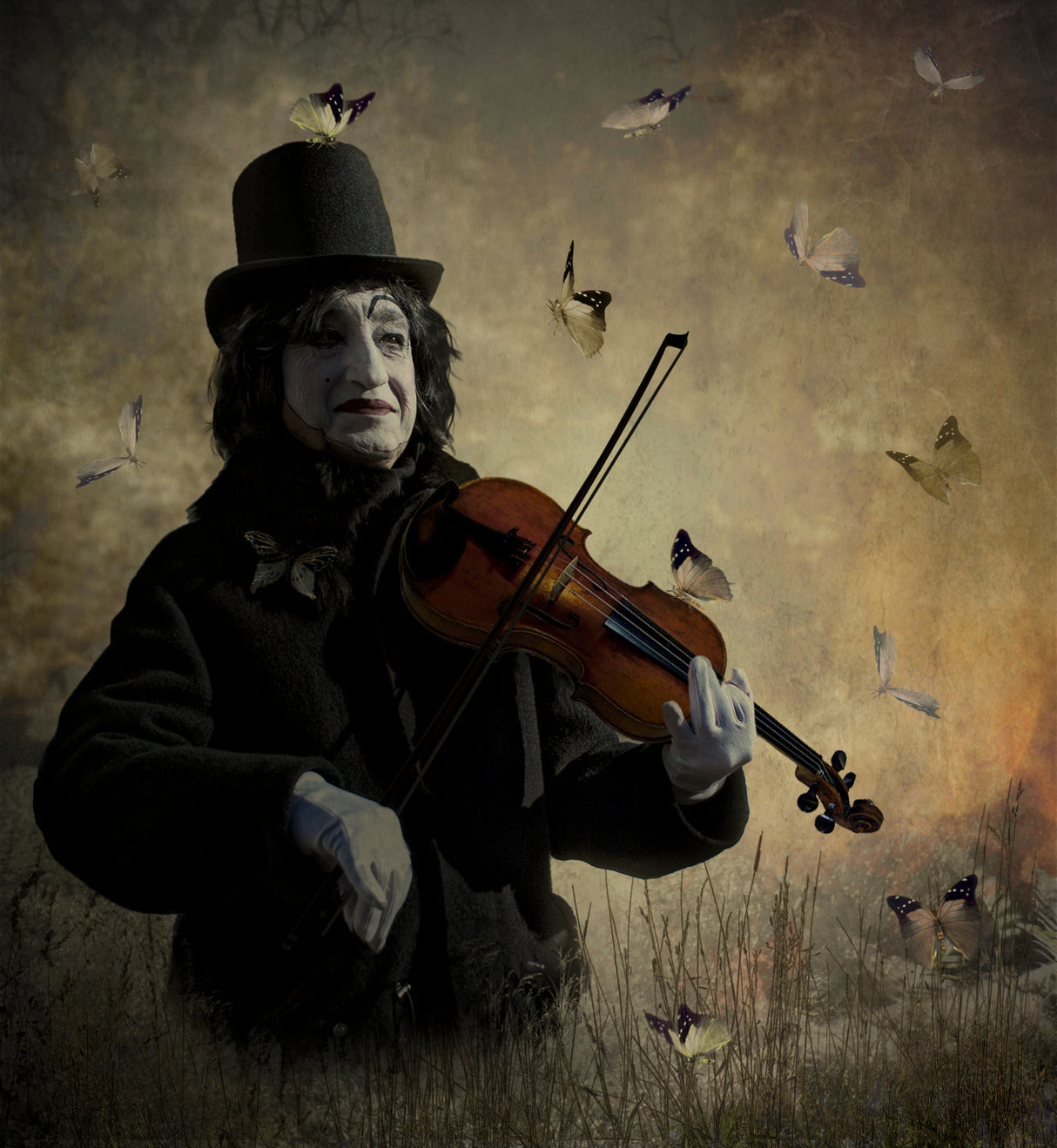 Waltz for butterflies. Poster och Canvastavla