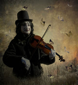 Waltz for butterflies. Poster och Canvastavla