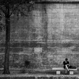 Paris Reading Poster och Canvastavla