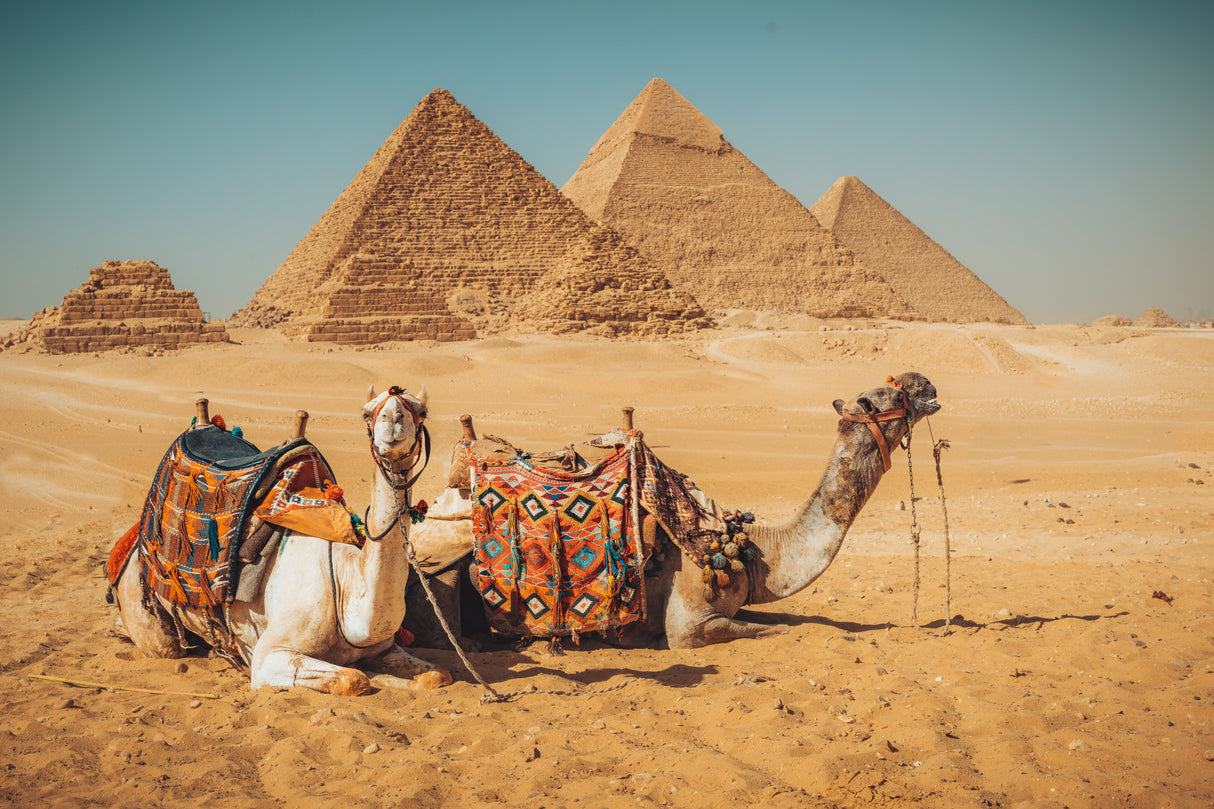 Visit to the pyramids Poster och Canvastavla