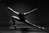 soaring. A ballerina in a pointe shoes in a lunge with her arms outstretched like wings Poster och Canvastavla