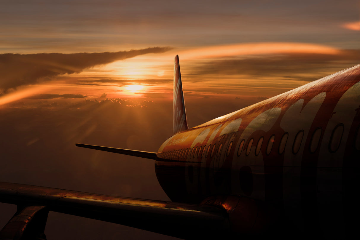 Out of the flight Poster och Canvastavla