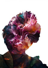 Princess Diana Silhouette Poster och Canvastavla