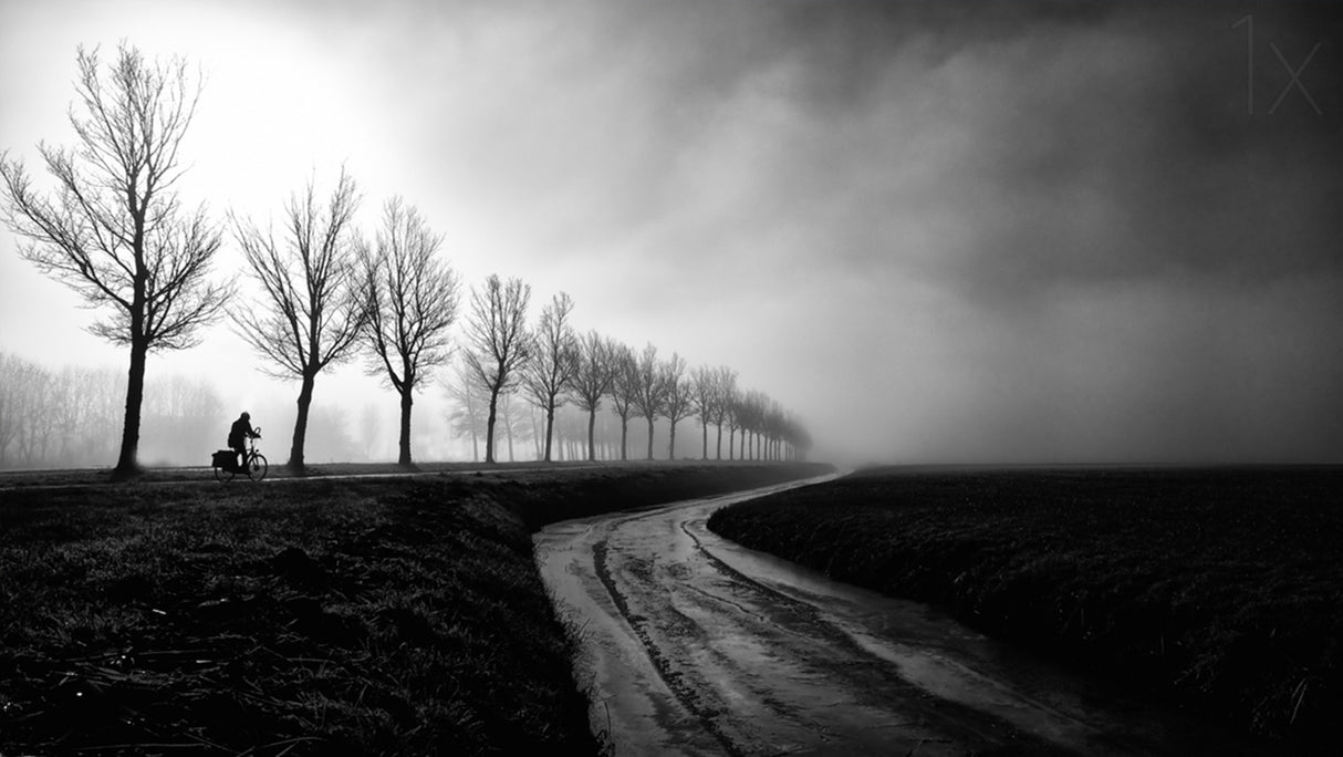 A long road to go. Poster och Canvastavla