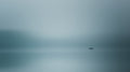 silence at the lake Poster och Canvastavla