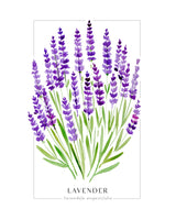 Lavender II Poster Kitchen poster eller kökstavla