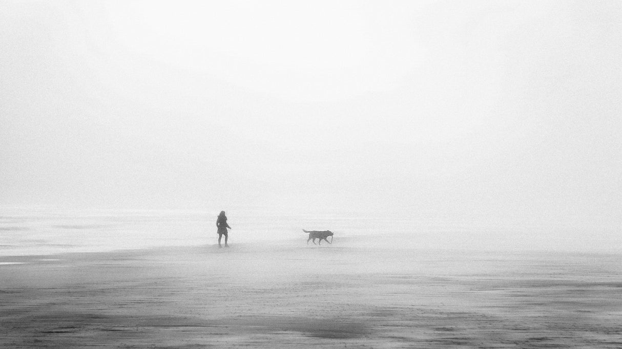 Woman and dog Poster och Canvastavla