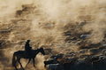 Grazing in the morning Poster och Canvastavla