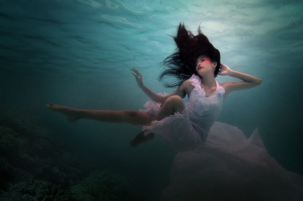 Beneath the Sea Poster och Canvastavla