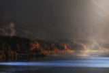 autumn light Poster och Canvastavla