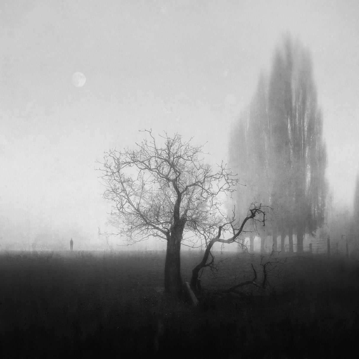 As Above, So Below Poster och Canvastavla