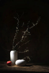 Frozen in Spring Poster och Canvastavla