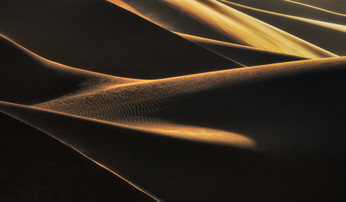 Light Caress Poster och Canvastavla