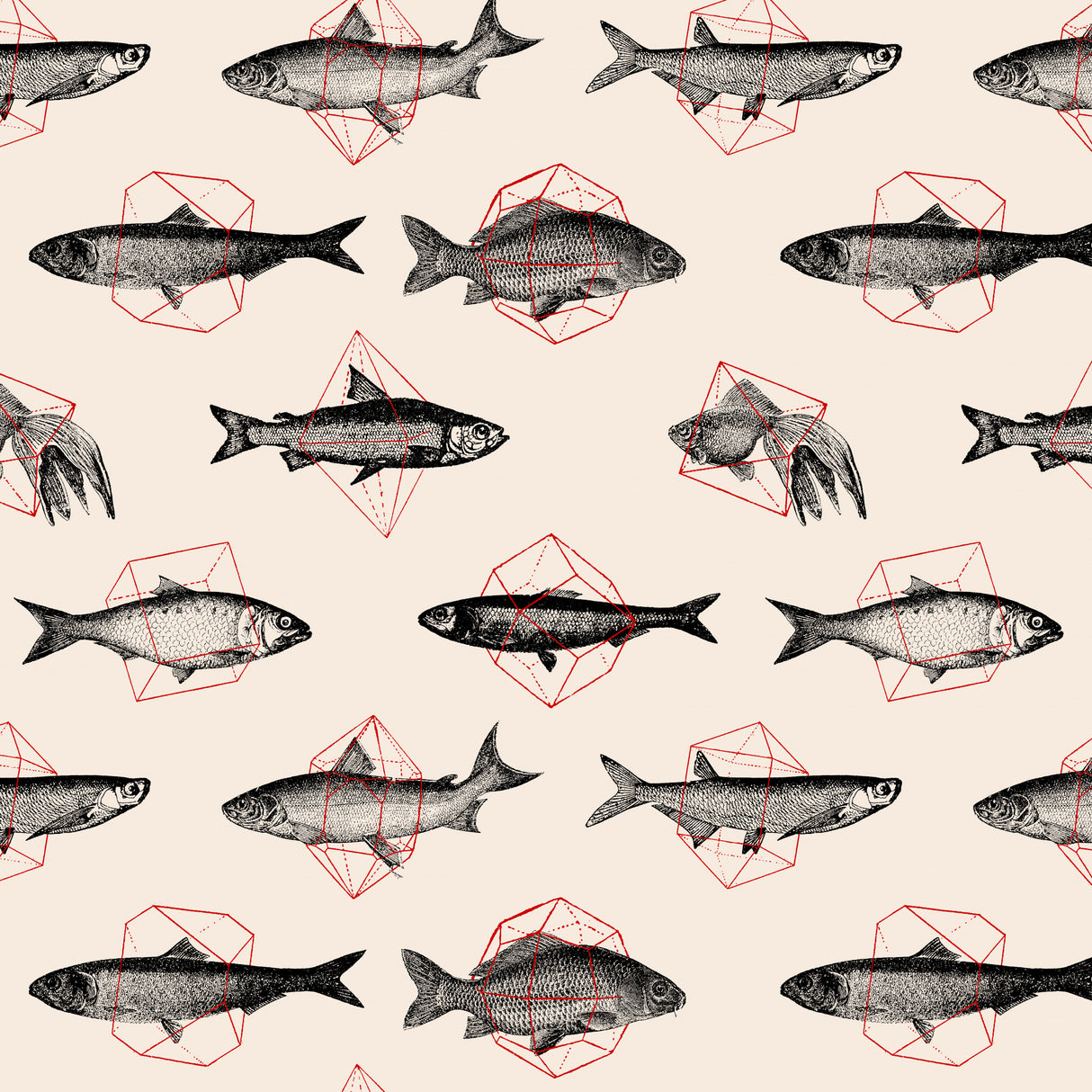 Fish In Geometrics Nº1 Poster och Canvastavla