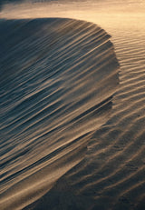 Sand Dune Poster och Canvastavla