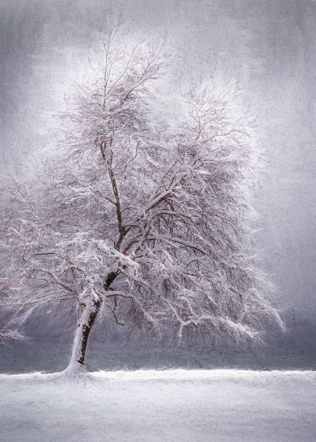 Winter at the lake Poster och Canvastavla