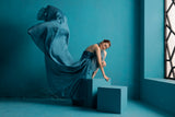 Ballerina with Bluish wardrobe Poster och Canvastavla