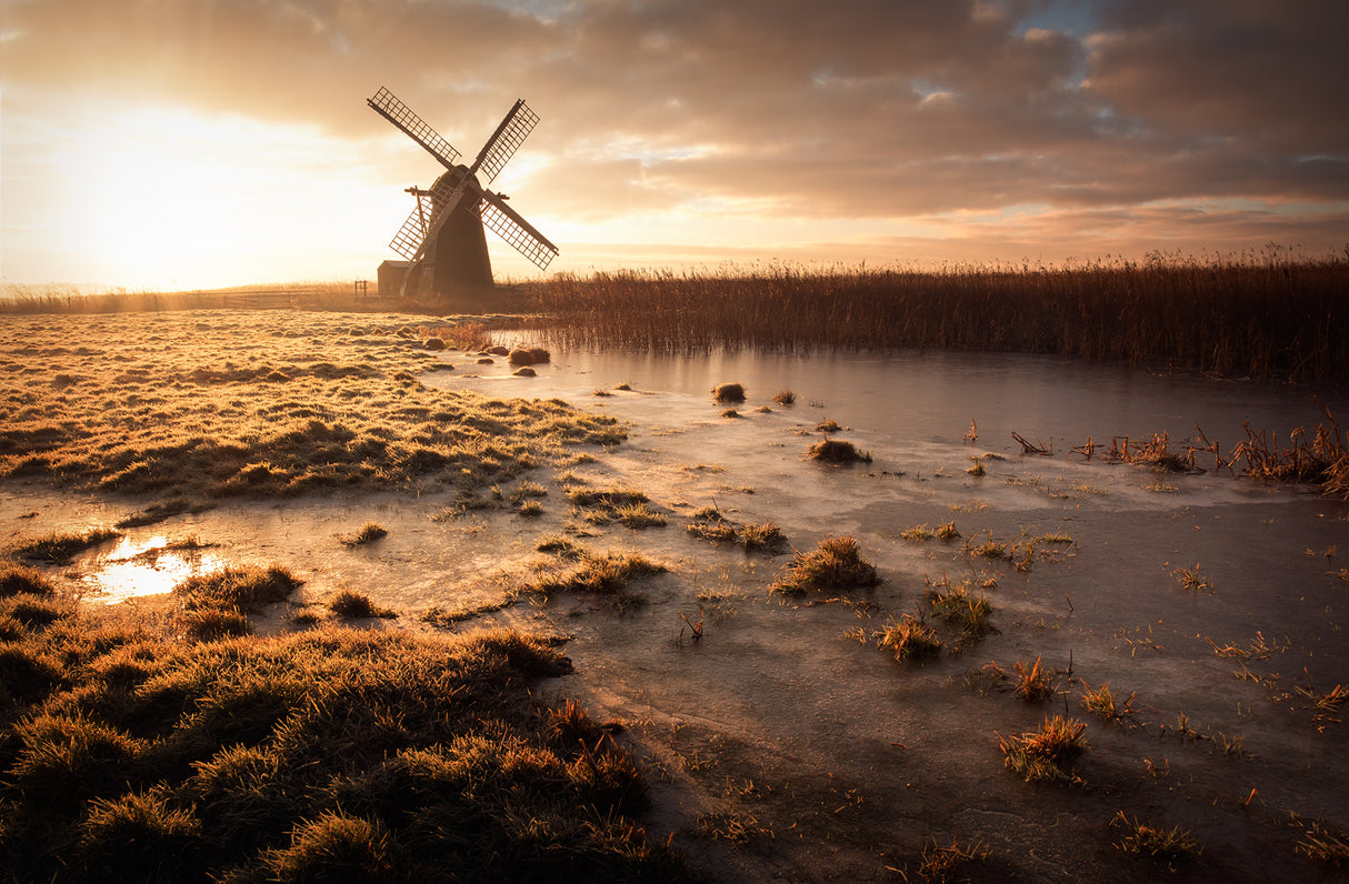 A Vivid Dream Poster och Canvastavla