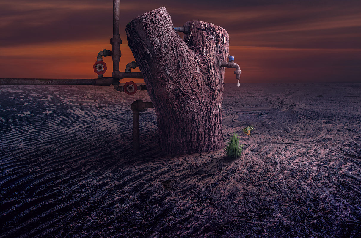 A drop of water Poster och Canvastavla