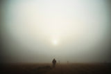 Foggy morning Poster och Canvastavla