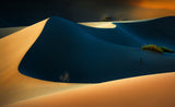 Magic Desert Poster och Canvastavla