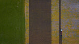 Which colour would you like !! Poster och Canvastavla