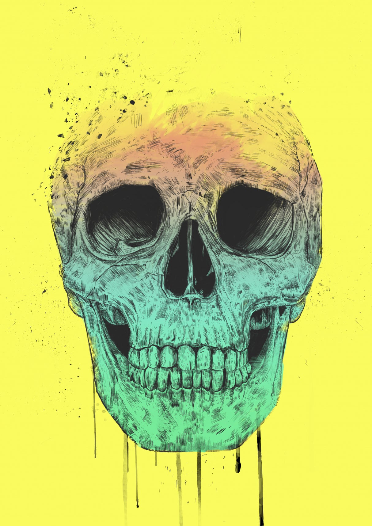 Pop Art Skull Poster och Canvastavla