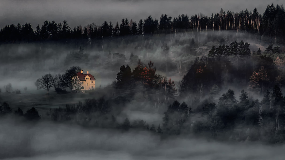 the house Poster och Canvastavla