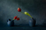 Tulips &amp; vases Poster och Canvastavla