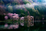 In The Morning Mist Poster och Canvastavla