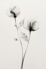 Transparent Botanic No 7 Poster och Canvastavla