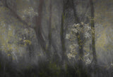 Cow parsley Poster och Canvastavla