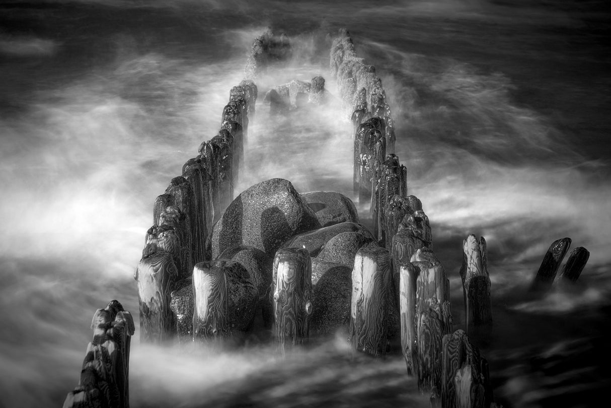 Wooden groyne in the morning sun - BW Poster och Canvastavla
