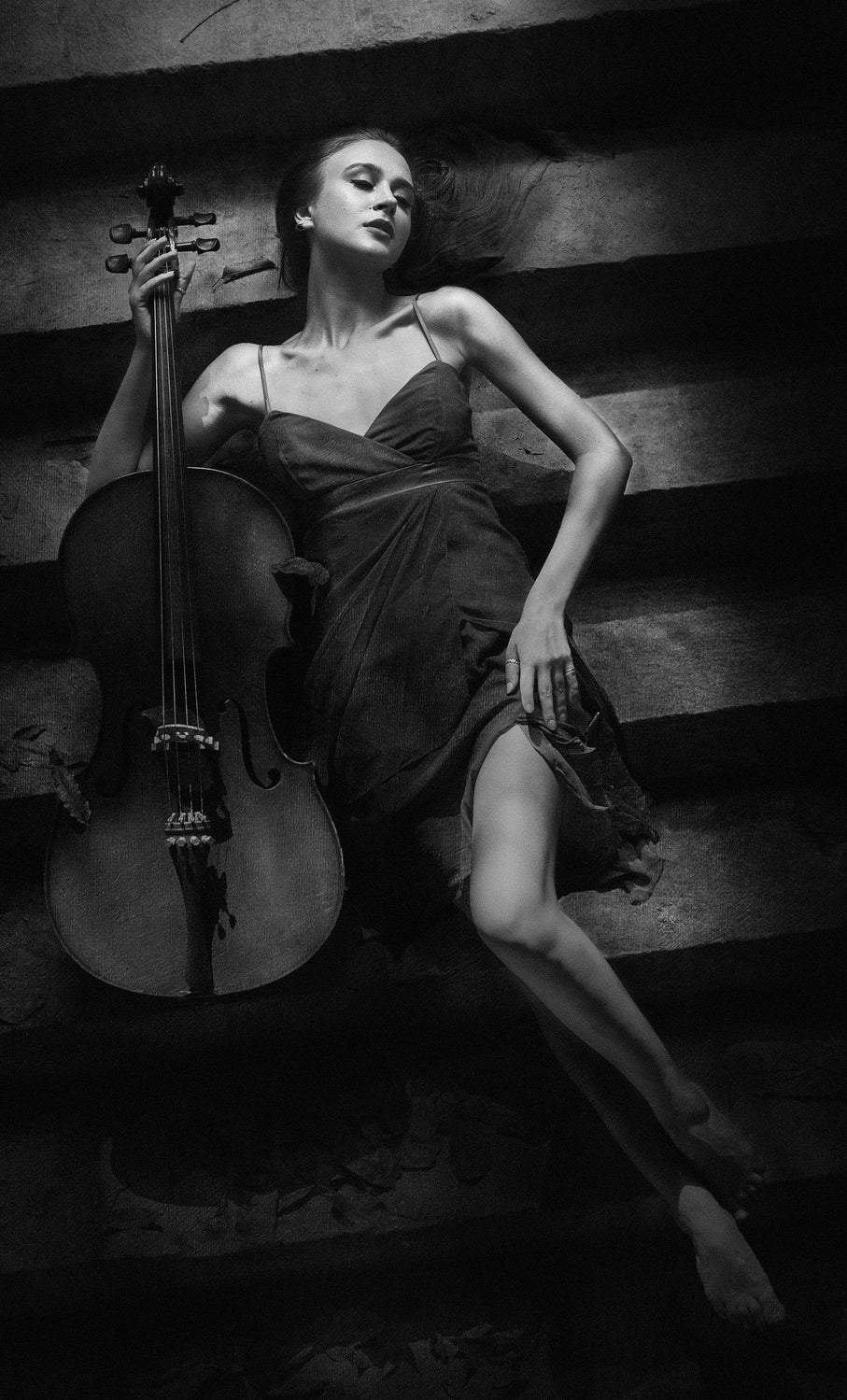 The Cellist Poster och Canvastavla