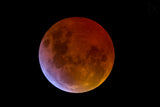 Moon total eclipse Poster och Canvastavla