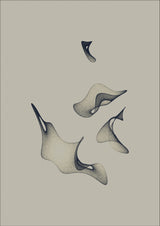 Free Torus - 4 Poster och Canvastavla