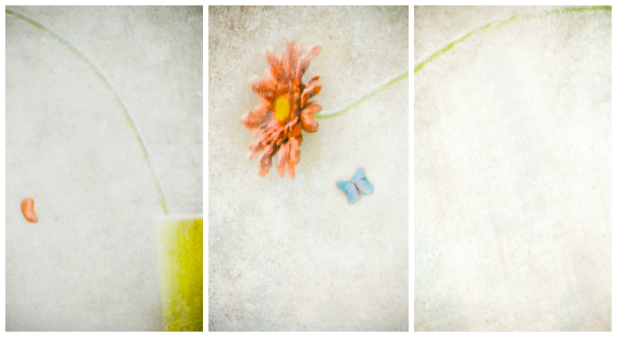 Waiting for Spring (Triptych) Poster och Canvastavla