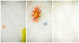 Waiting for Spring (Triptych) Poster och Canvastavla